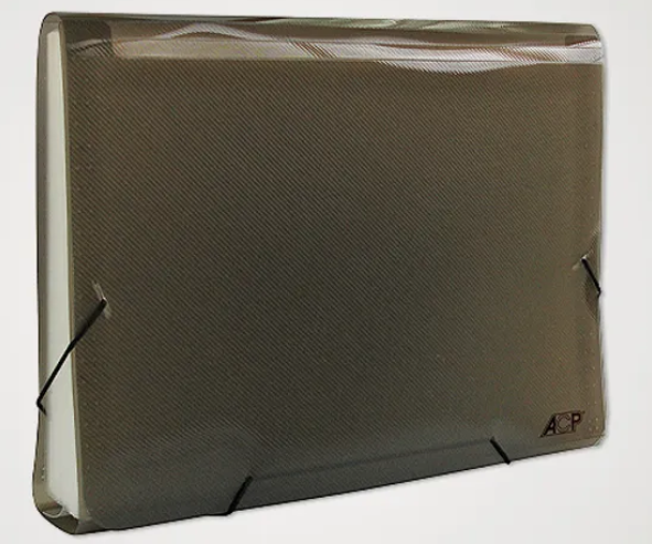 PASTA SANFONADA A4 31 DIV. FUM