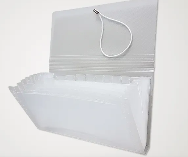 PASTA SANFONADA CHEQUE 12 DIV.