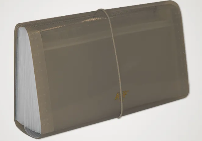 PASTA SANFONADA CHEQUE 31 DIV.