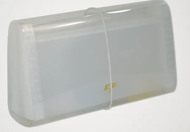 PASTA SANFONADA CHEQUE 31 DIV.