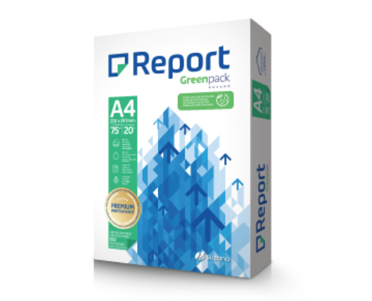PAPEL CARTA 216X279 75GR REPOR