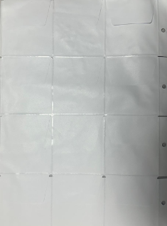 PROTETOR DOC 12 CASULOS