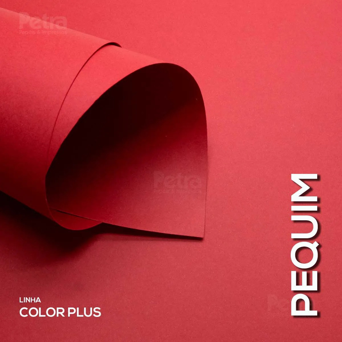 PAPEL 66X96 180GR COLORPLUS VE